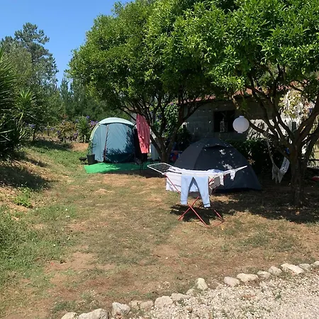 Tent Lobo Pombal (Leiria)