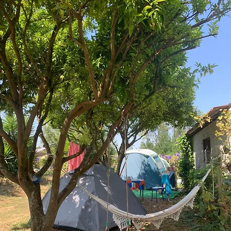 Tent Lobo * Pombal (Leiria)